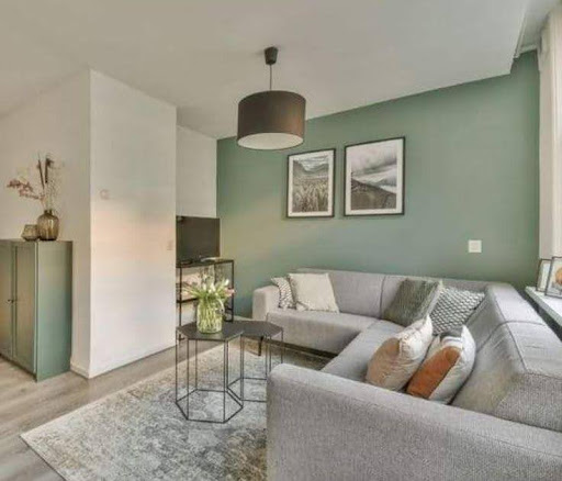 muted_green_living_room_wall_colours_JSW_paints