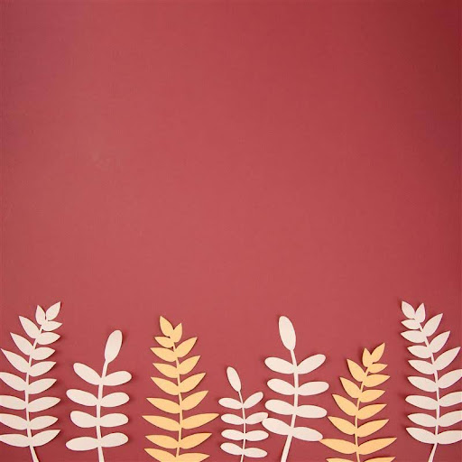 burgundy_mustard_and_grey_JSW_paints